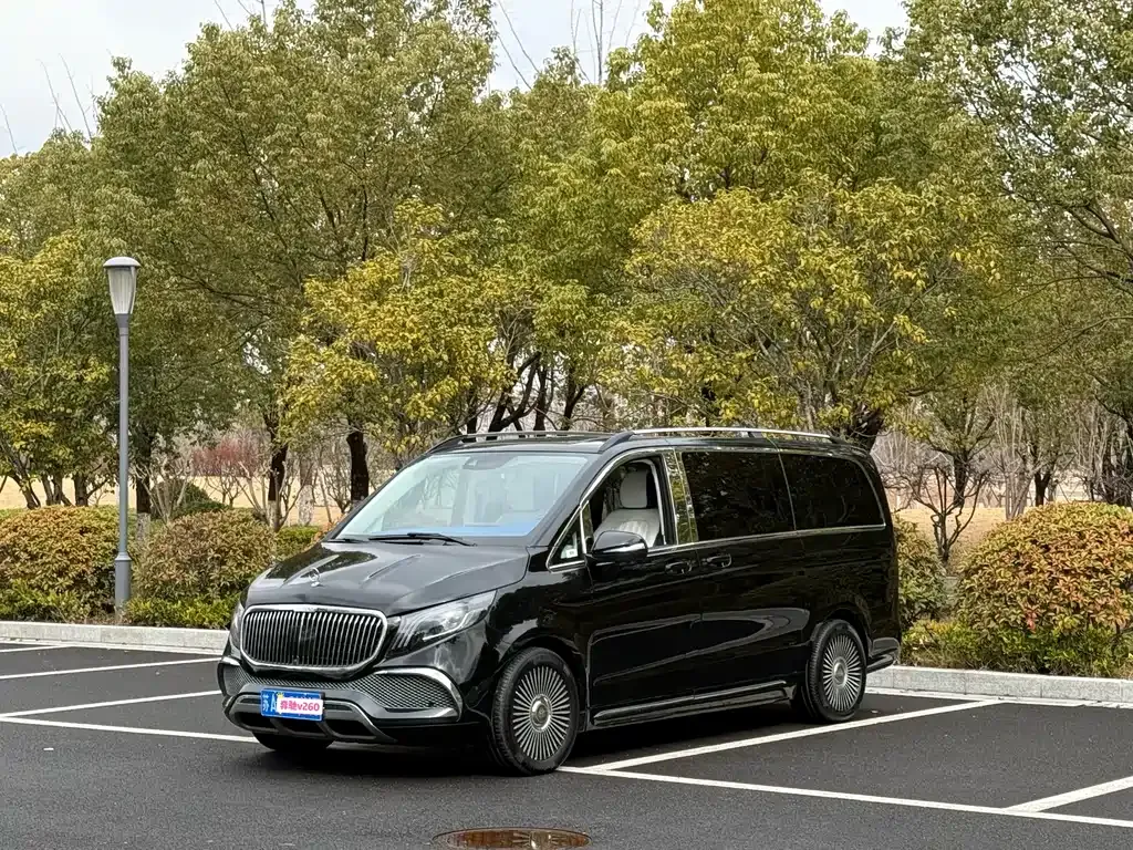 Mercedes-Benz V-Class 2023 из CN, фото 10