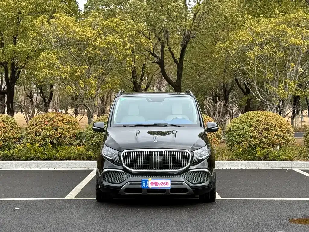Mercedes-Benz V-Class 2023 из CN, фото 5