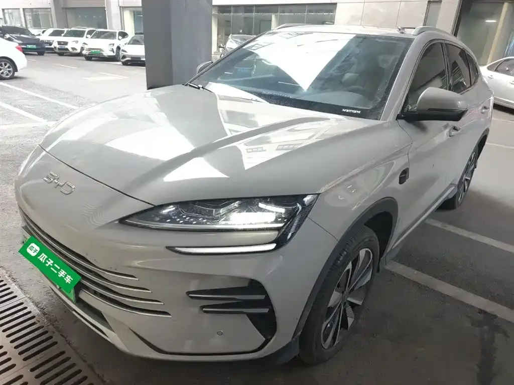 BYD PLUS New Energy 2025 из CN, фото 8