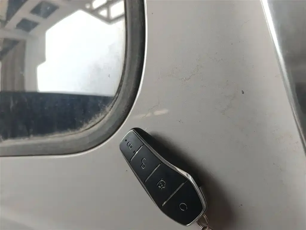 BYD PLUS New Energy 2025 из CN, фото 2