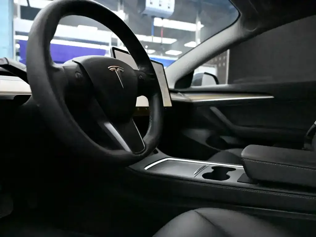 Tesla Model 3 2021 из CN, фото 5