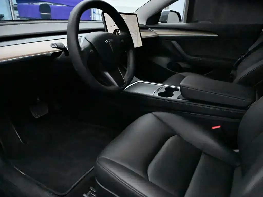 Tesla Model 3 2021 из CN, фото 2