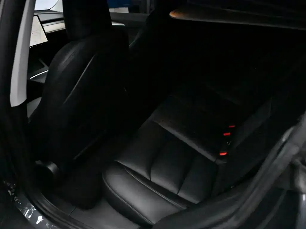 Tesla Model 3 2021 из CN, фото 3