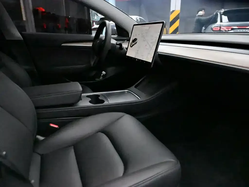 Tesla Model 3 2021 из CN, фото 4
