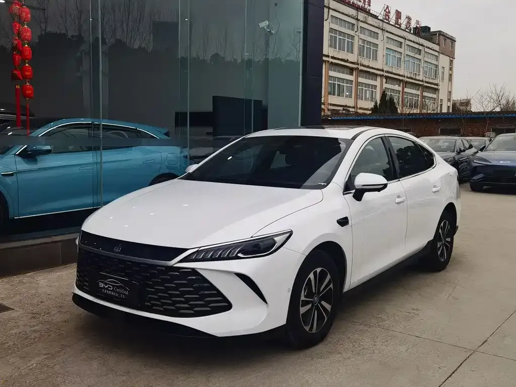 BYD Qin PLUS 2025 из CN, фото 1