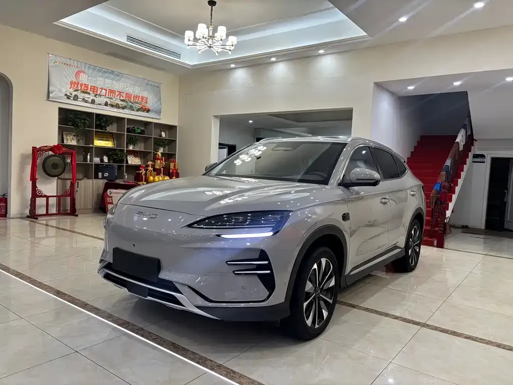 BYD PLUS New Energy 2025 из CN, фото 1