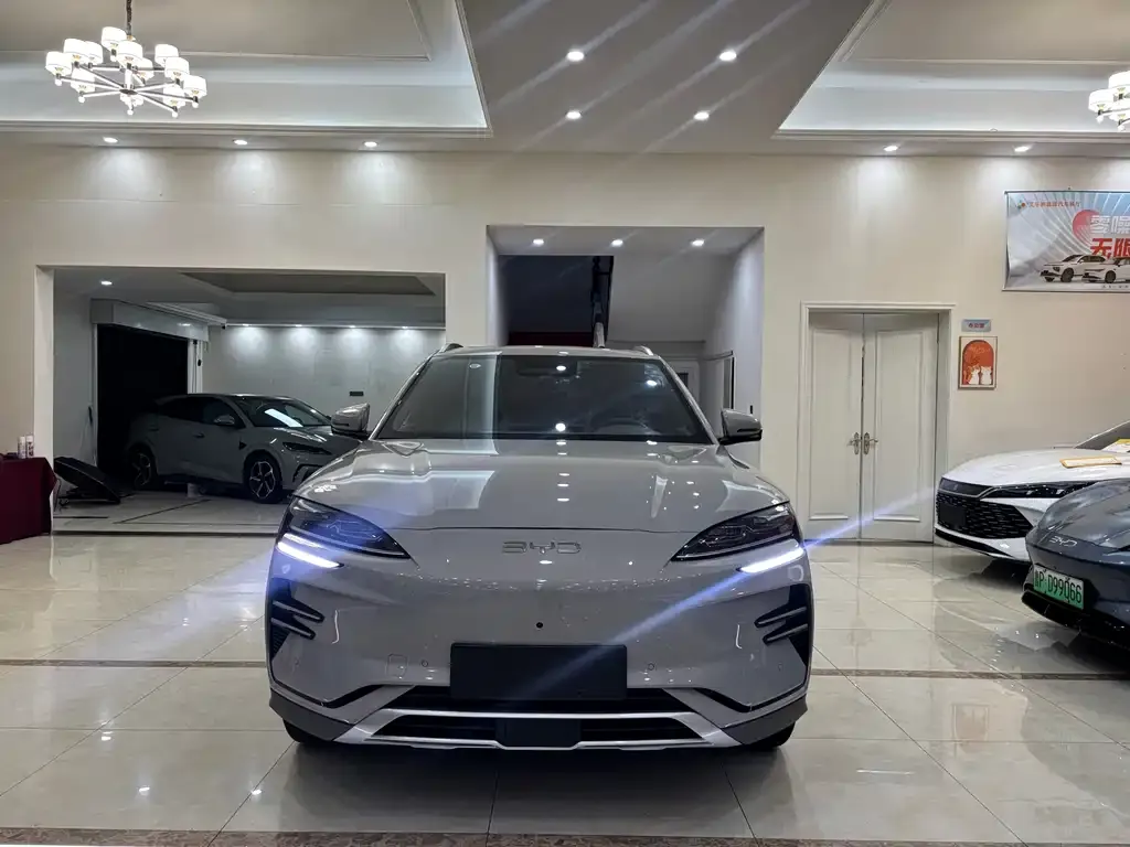 BYD PLUS New Energy 2025 из CN, фото 2