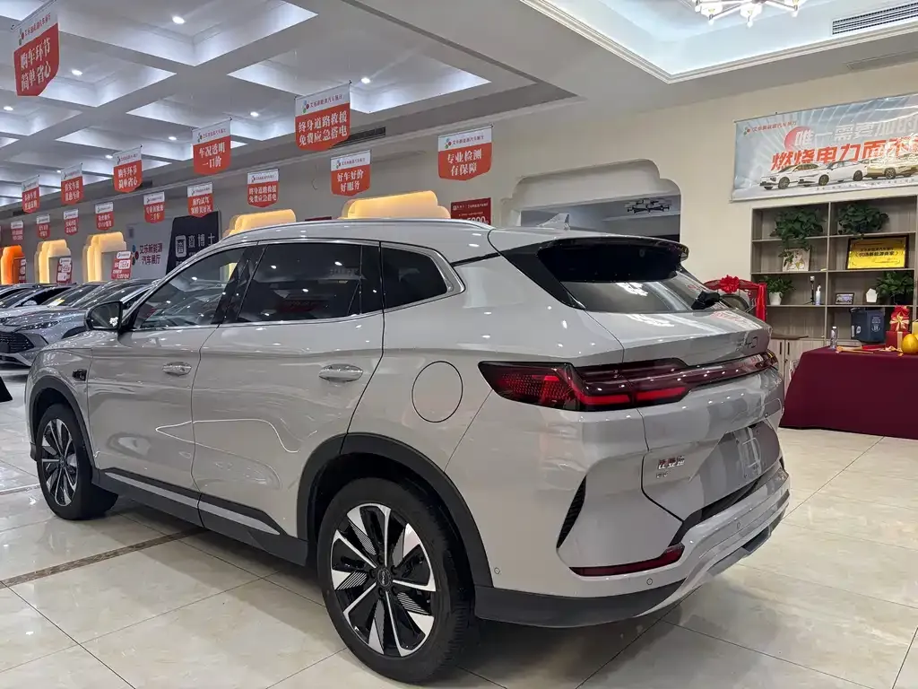 BYD PLUS New Energy 2025 из CN, фото 5