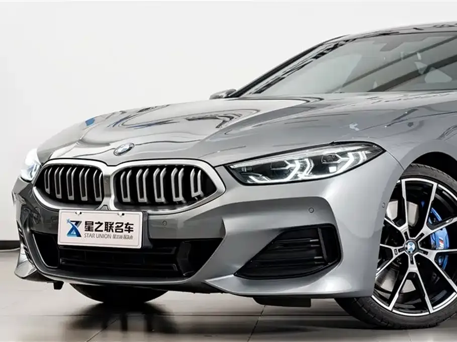 BMW 8 Series — фото 10
