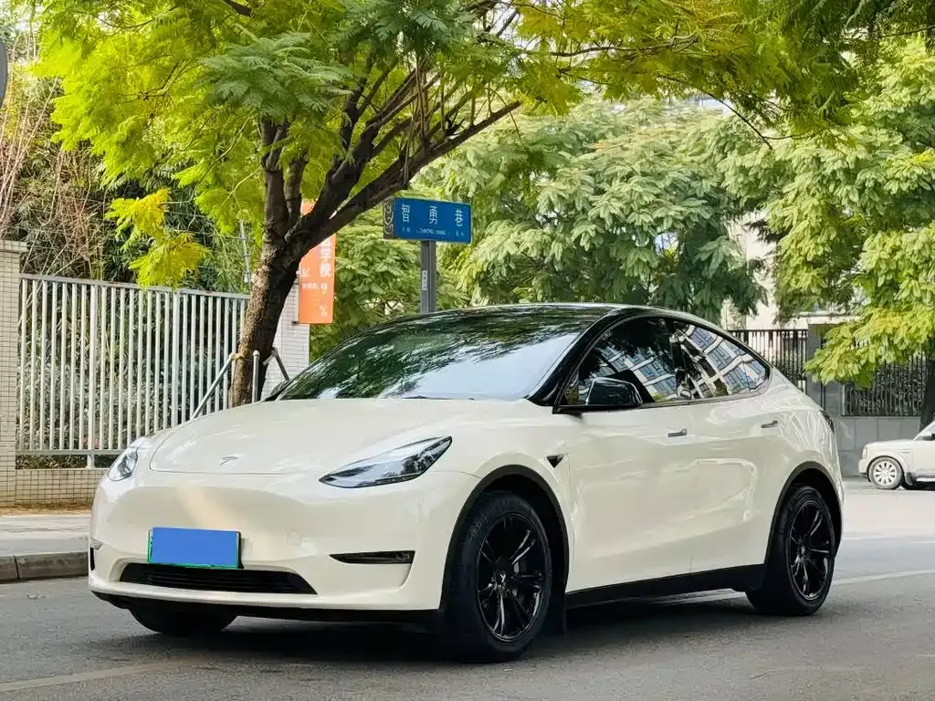Tesla Model Y — фото 1