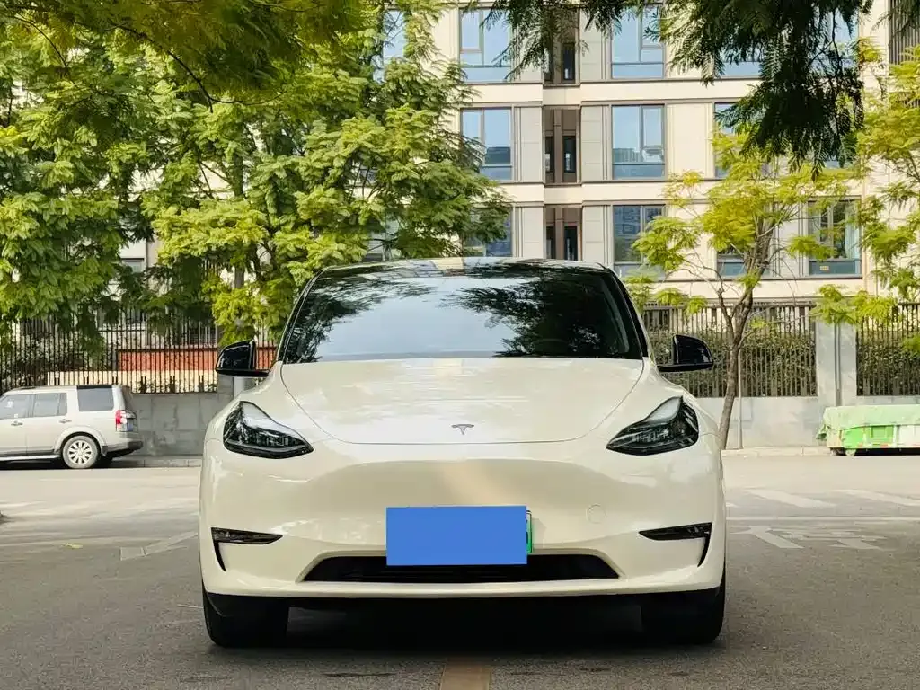 Tesla Model Y — фото 8