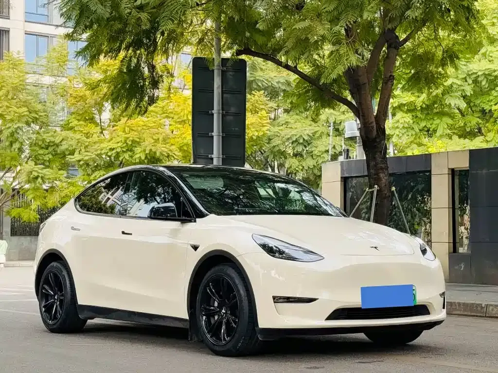 Tesla Model Y — фото 10