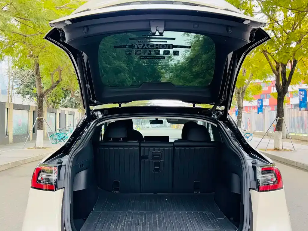 Tesla Model Y — фото 6