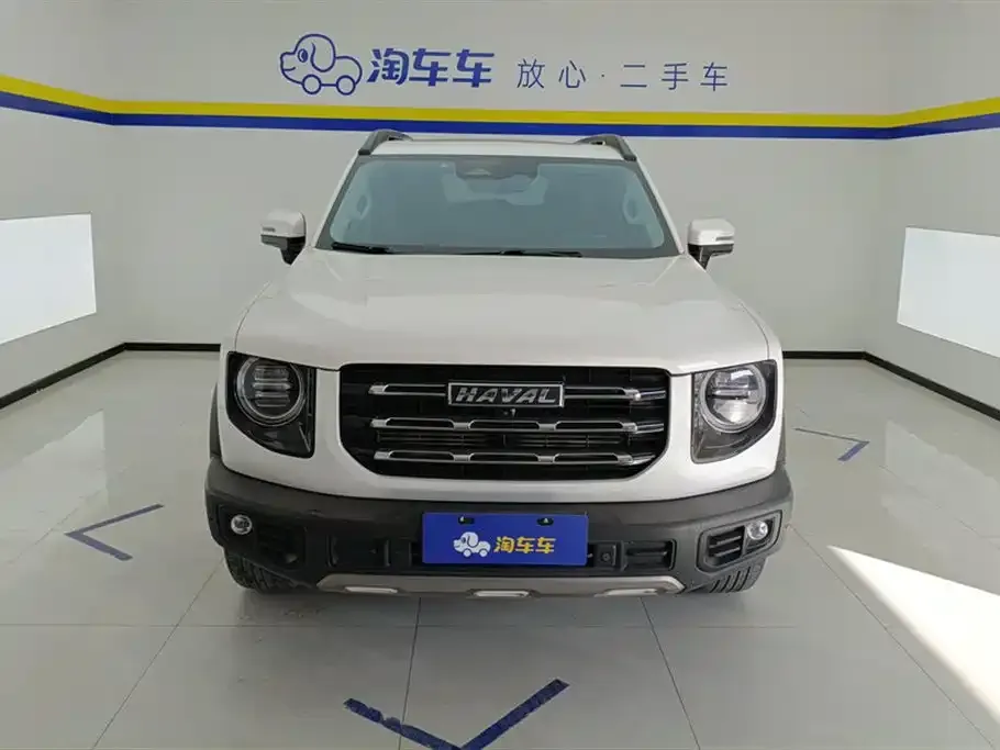 Haval Big Dog 2022 из CN, фото 7