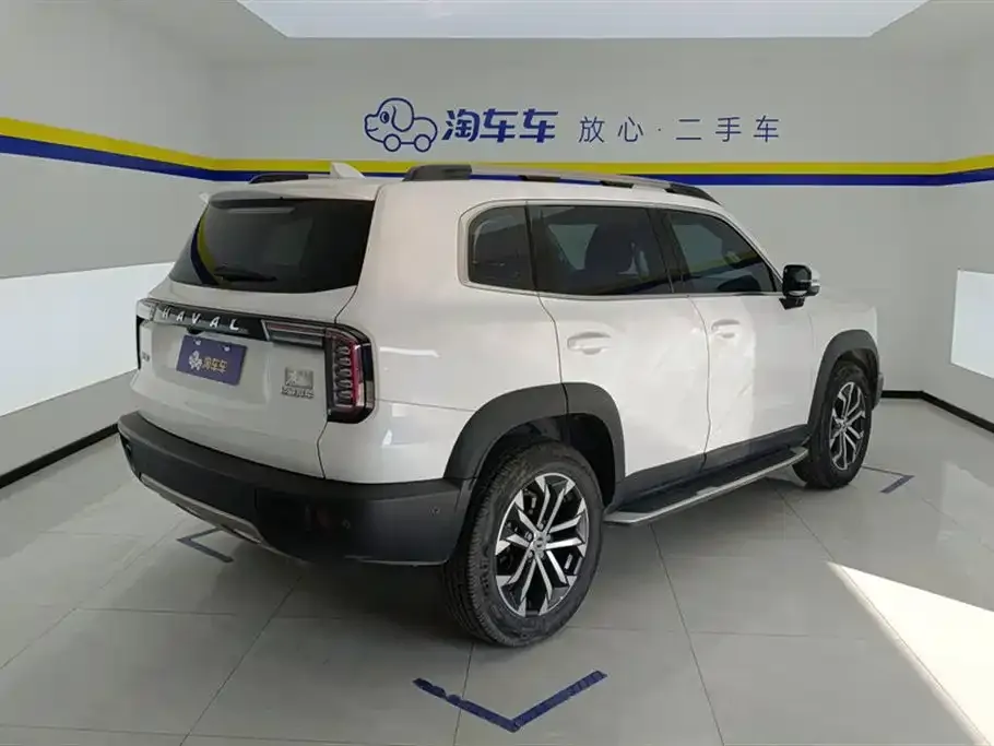 Haval Big Dog 2022 из CN, фото 4