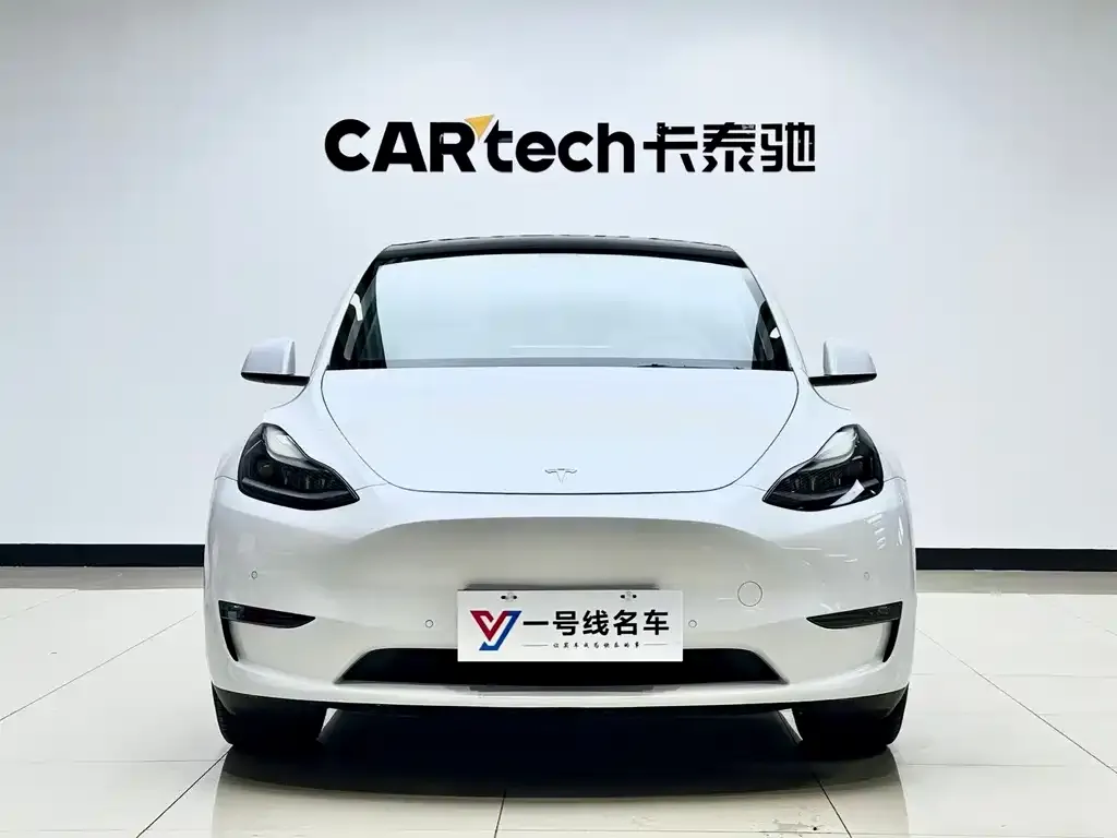 Tesla Model Y 2021 из CN, фото 1