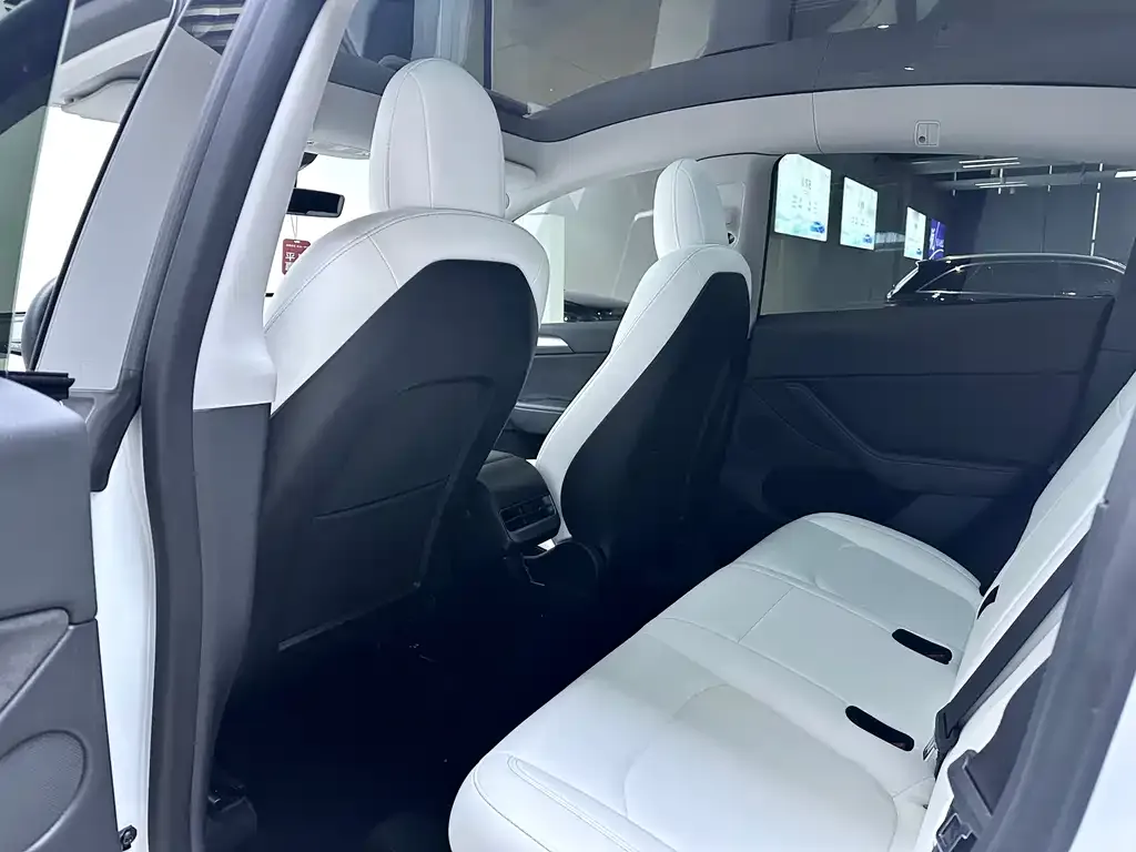 Tesla Model Y 2021 из CN, фото 7