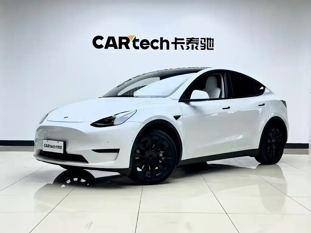 Tesla Model Y 2021 из CN, фото 5