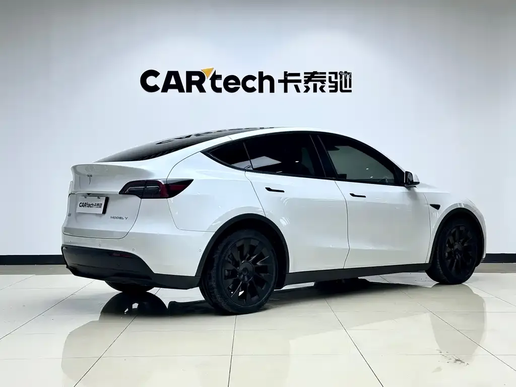 Tesla Model Y 2021 из CN, фото 6