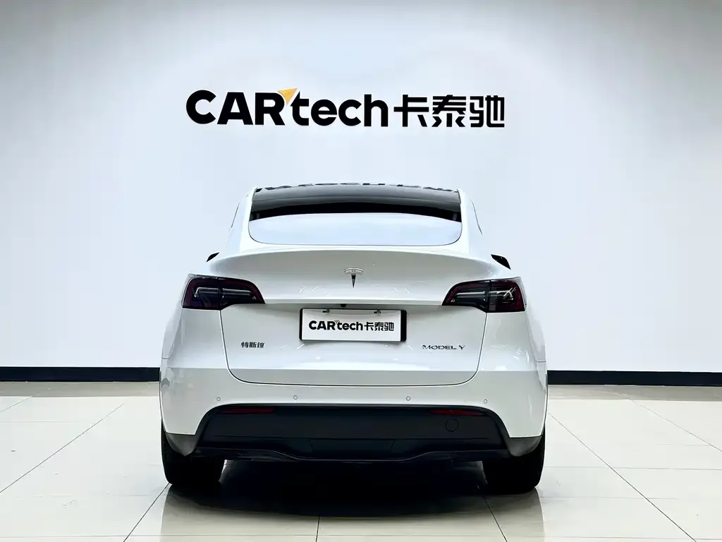 Tesla Model Y 2021 из CN, фото 2