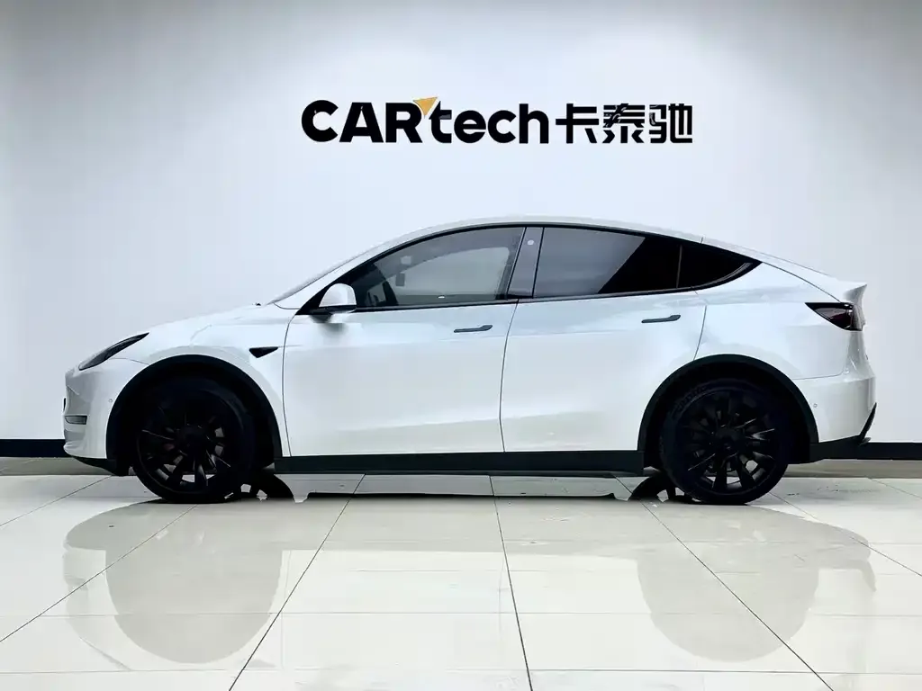 Tesla Model Y 2021 из CN, фото 8
