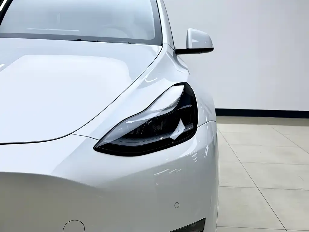 Tesla Model Y 2021 из CN, фото 3