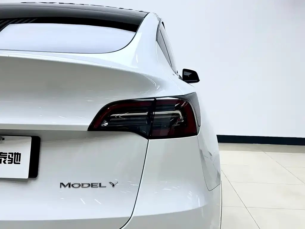Tesla Model Y 2021 из CN, фото 4