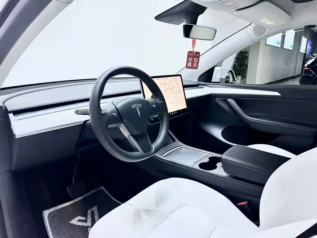 Tesla Model Y 2021 из CN, фото 9