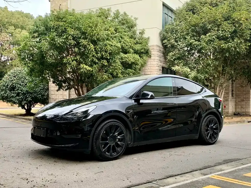 Tesla Model Y 2021 из CN, фото 1
