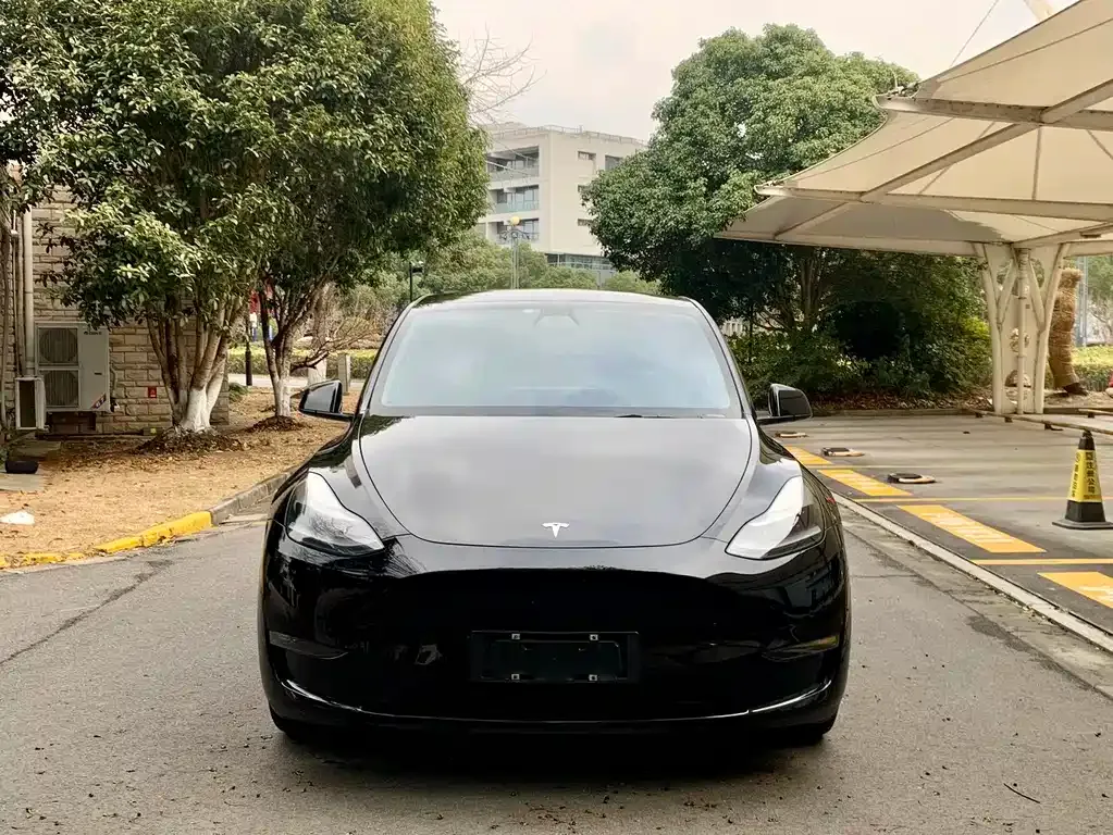 Tesla Model Y 2021 из CN, фото 2