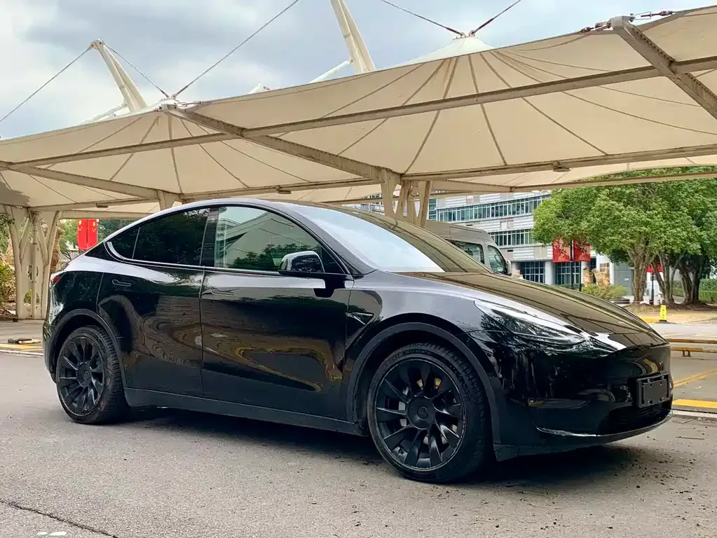 Tesla Model Y 2021 из CN, фото 6