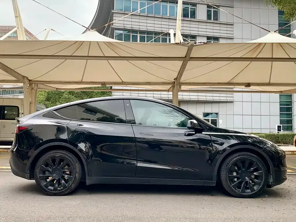 Tesla Model Y 2021 из CN, фото 4