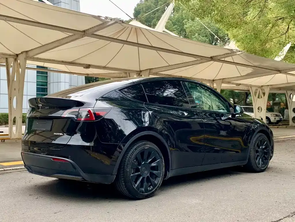 Tesla Model Y 2021 из CN, фото 5