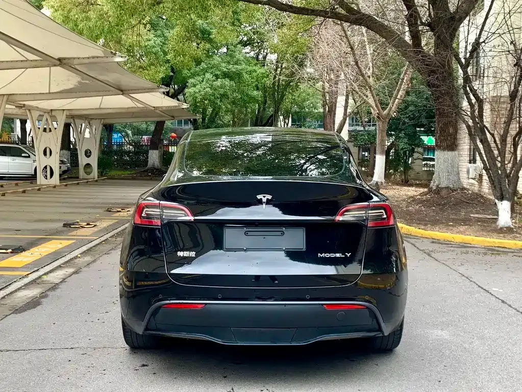 Tesla Model Y 2021 из CN, фото 10