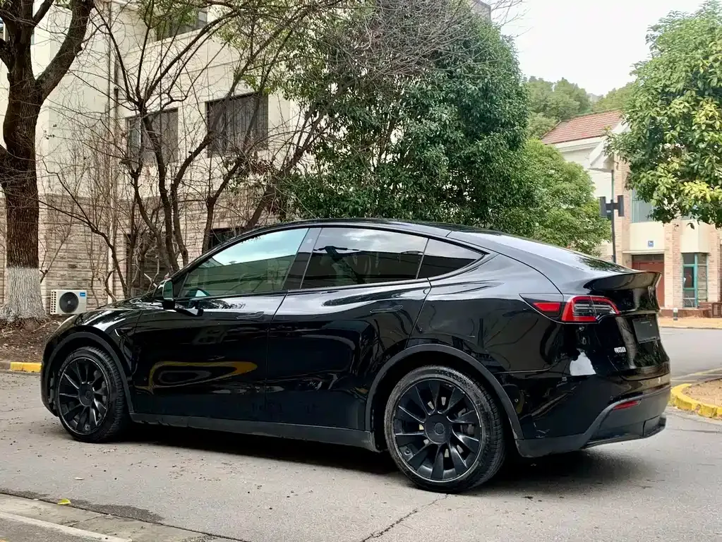 Tesla Model Y 2021 из CN, фото 8