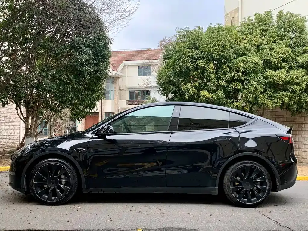 Tesla Model Y 2021 из CN, фото 3