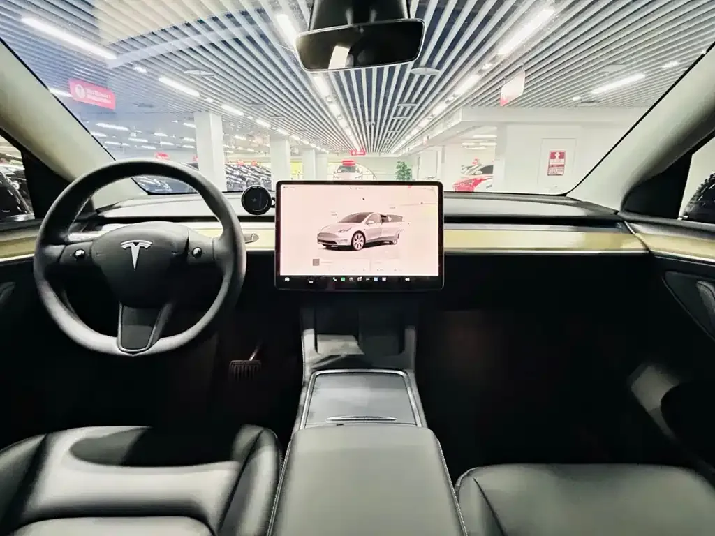 Tesla Model Y — фото 9
