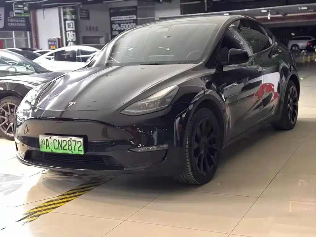 Tesla Model Y 2023 из CN, фото 1