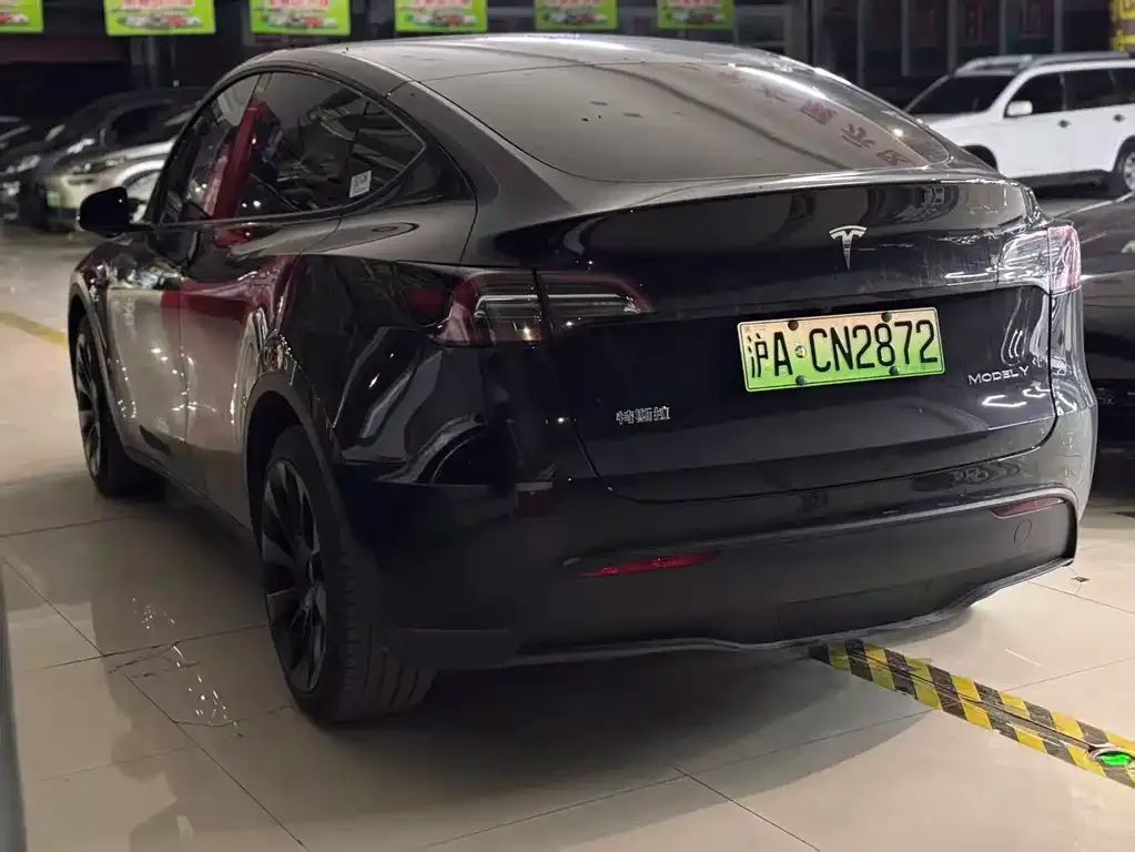 Tesla Model Y 2023 из CN, фото 9