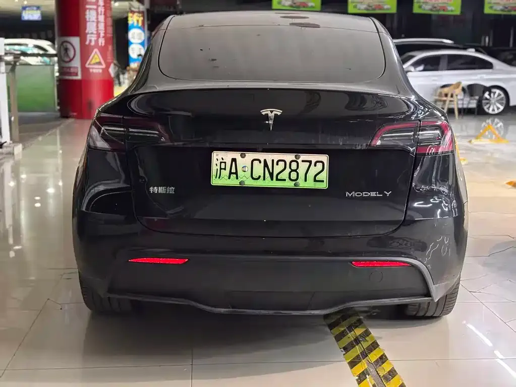 Tesla Model Y 2023 из CN, фото 4