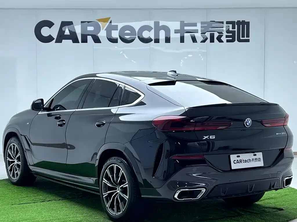 BMW X6 2021 из CN, фото 4