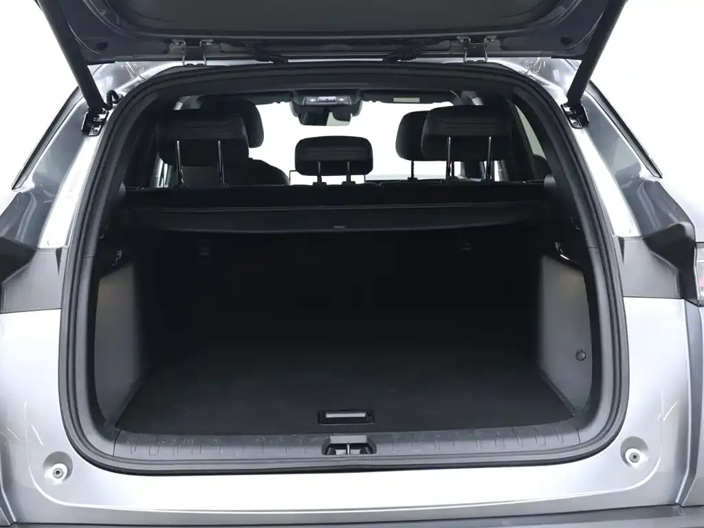 BYD L DM-i 2025 из CN, фото 9