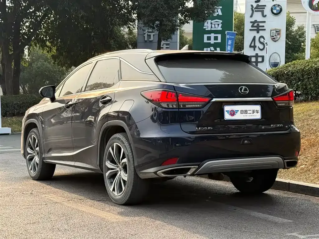 Lexus RX 2022 из CN, фото 7