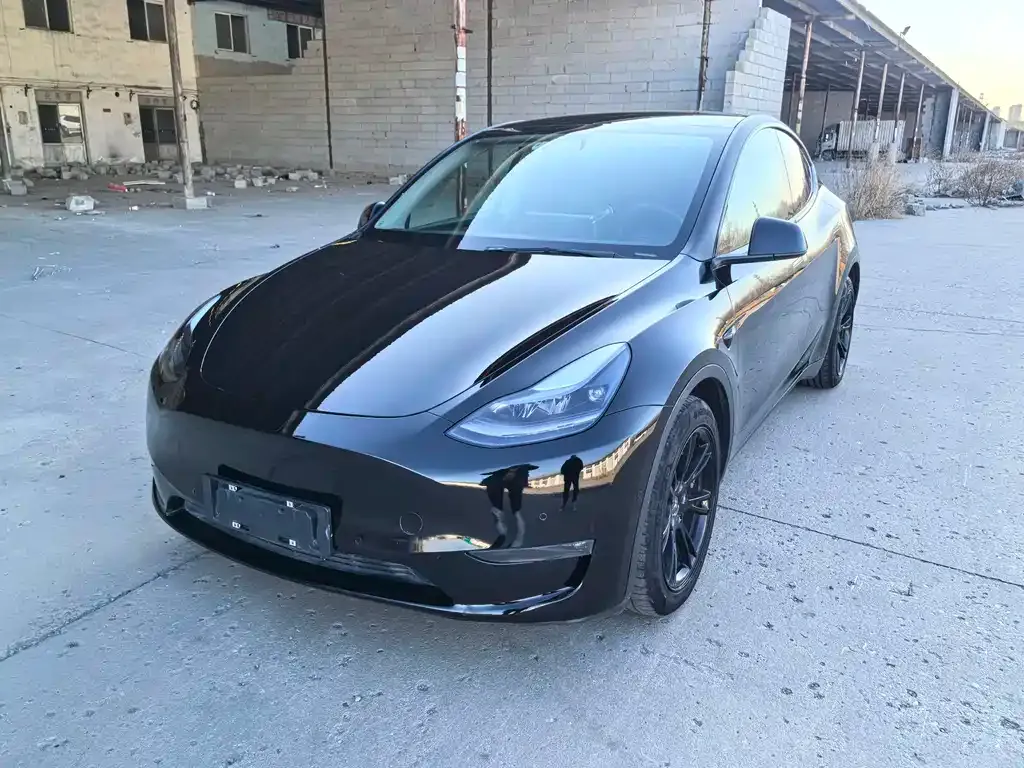 Tesla Model Y 2021 из CN, фото 1