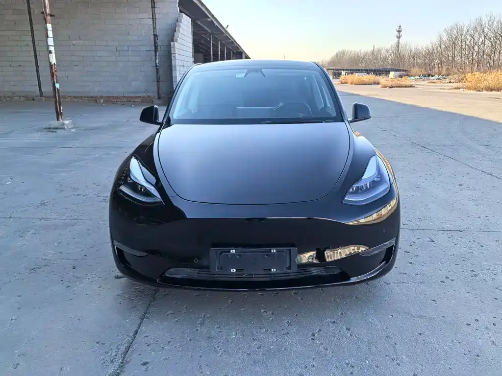 Tesla Model Y 2021 из CN, фото 5