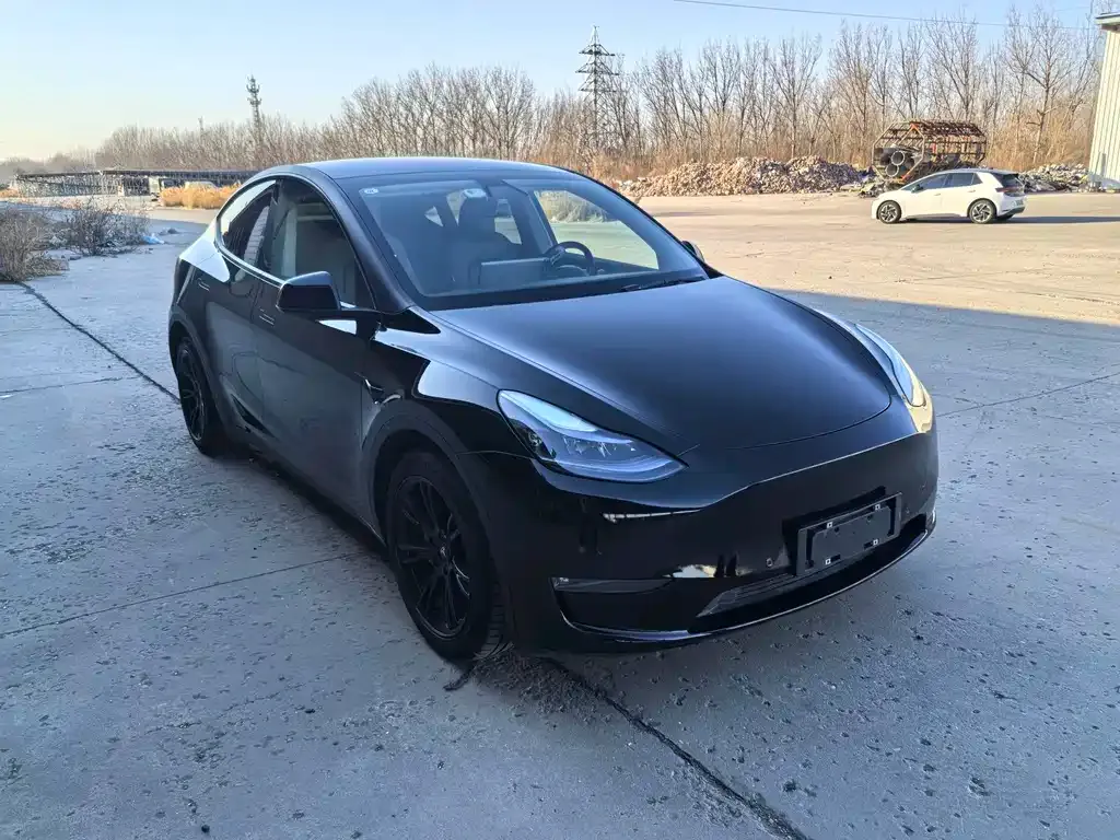 Tesla Model Y 2021 из CN, фото 7