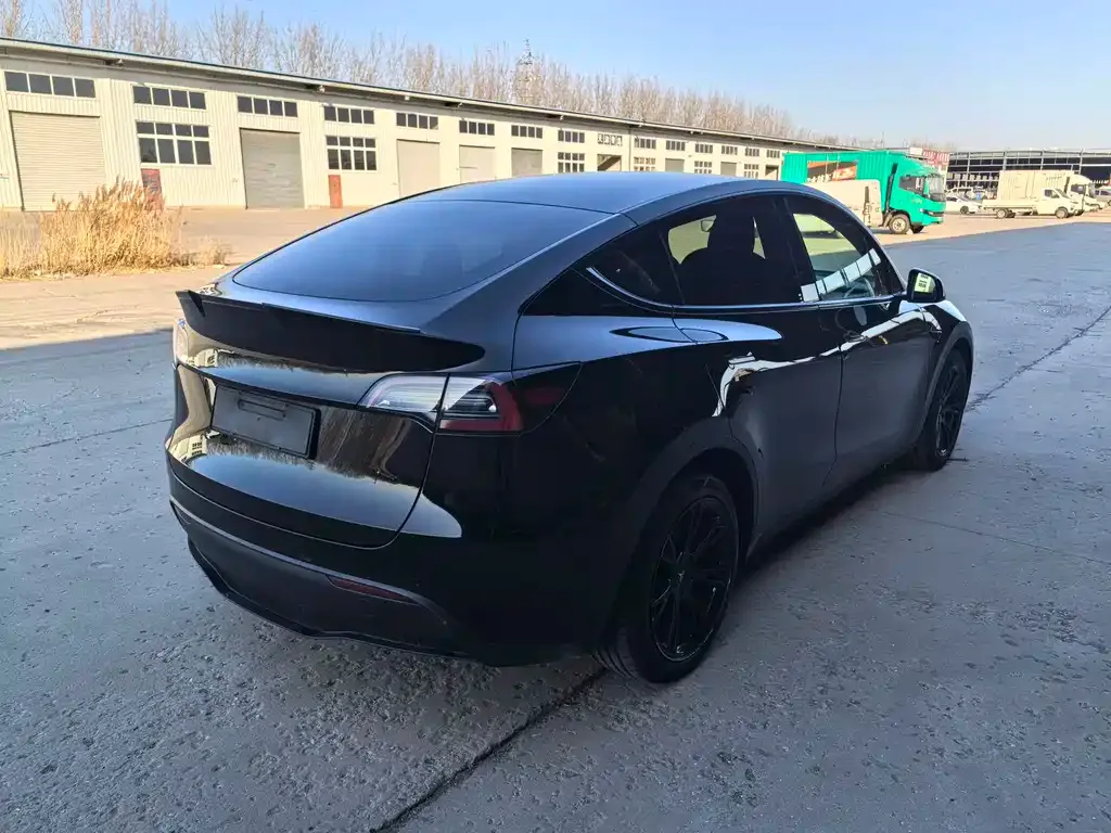 Tesla Model Y 2021 из CN, фото 9
