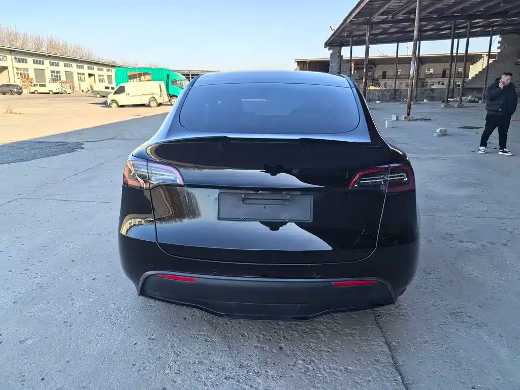 Tesla Model Y 2021 из CN, фото 8