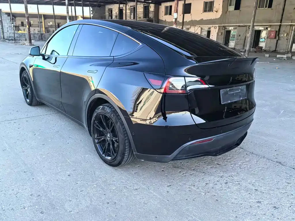 Tesla Model Y 2021 из CN, фото 6