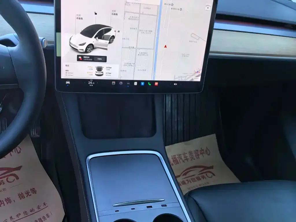 Tesla Model Y 2021 из CN, фото 4